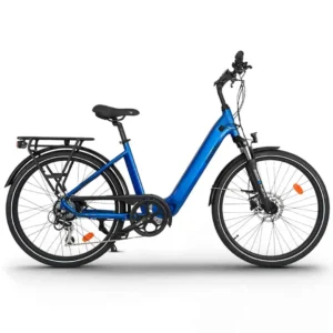 Urbanbiker UB100