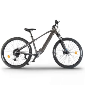 Urbanbiker UB300