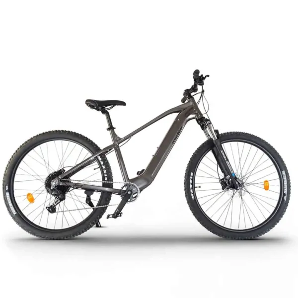 Urbanbiker UB300